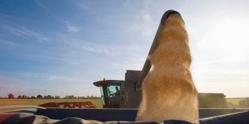 Alta do diesel preocupa produtores rurais e pode pressionar custos no campo