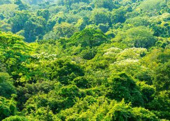 Amazonia Legal recebe R 53 milhoes para avancar na regularizacao fundiaria de terras 2