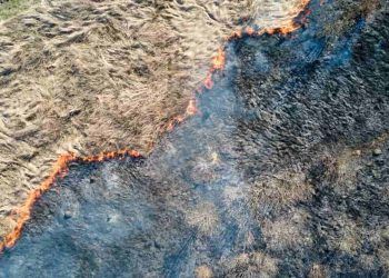 Area queimada recua 39 no pais e plano de prevencao e apresentado para 2026