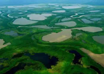 Brasil amplia unidades de conservação e cria nova área protegida no Cerrado