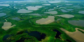 Brasil amplia unidades de conservação e cria nova área protegida no Cerrado