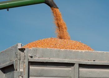 Caminhao e furtado com 44 toneladas de soja em Goias e ecuperado em Minas