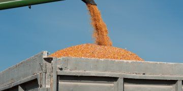 Caminhão é furtado com 44 toneladas de soja em Goiás e recuperado em Minas