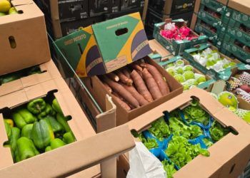 Carga de hortifrútis brasileiros chega pela primeira vez em voo direto a Cabo Verde