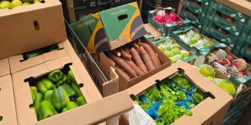 Carga de hortifrútis brasileiros chega pela primeira vez em voo direto a Cabo Verde