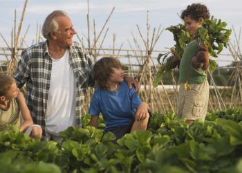 Conab abre cursos gratuitos para fortalecer gestao na agricultura familiar