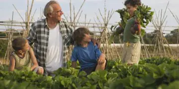 Conab abre cursos gratuitos para fortalecer gestão na agricultura familiar