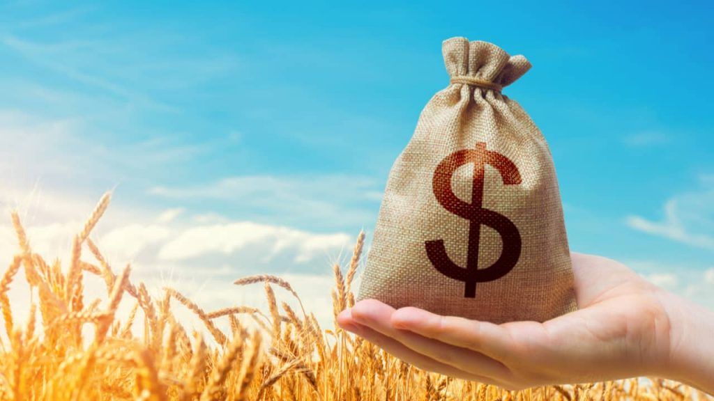 Crédito rural empresarial soma R$ 354,4 bilhões e cresce 7% na safra 2025/2026