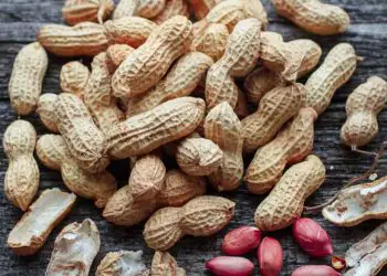 Criacao de camara setorial busca impulsionar cadeia do amendoim no Brasil