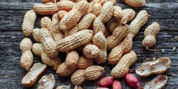 Criação de câmara setorial busca impulsionar cadeia do amendoim no Brasil