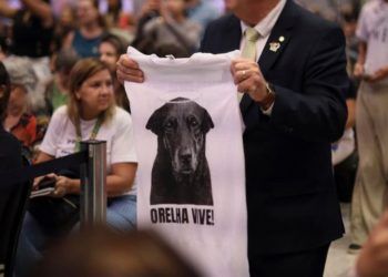 Decreto aumenta multas por maus-tratos a animais e valor pode chegar a R$ 1 milhão