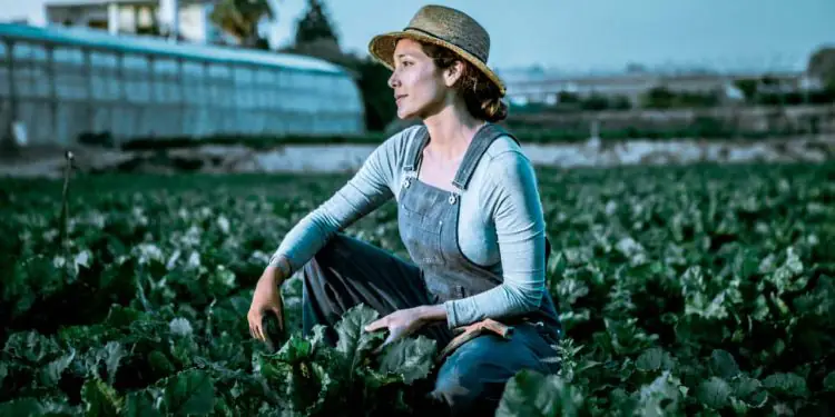 Dia Internacional da Mulher destaca liderança feminina no campo 1 Dia Internacional da Mulher destaca liderança feminina no campo