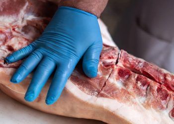 Exportações de carne suína do Brasil crescem 6,7% em fevereiro