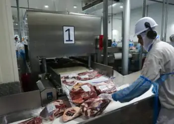 Goiás mantém superávit na balança comercial com destaque para exportações de carnes 7 Goiás mantém superávit na balança comercial com destaque para exportações de carnes