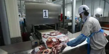 Goiás mantém superávit na balança comercial com destaque para exportações de carnes
