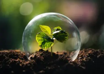 Goiás se destaca em ranking nacional de transparência ambiental