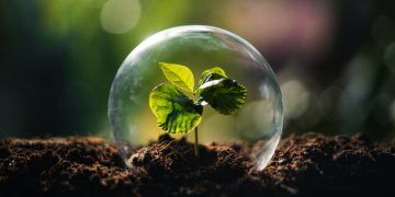 Goiás se destaca em ranking nacional de transparência ambiental