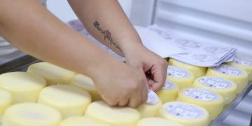 Goiás seleciona 60 agroindústrias para projeto de melhoria da qualidade