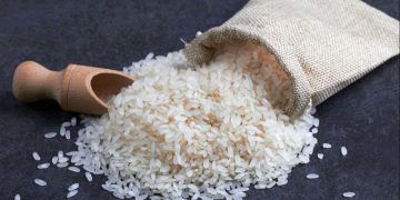 Governo destina até R$ 70 milhões para apoiar preço do arroz na safra 2025/2026