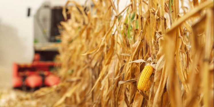 Guerra no Oriente Médio pressiona o agro brasileiro; veja os setores mais afetados 1 Guerra no Oriente Médio pressiona o agro brasileiro; veja os setores mais afetados