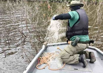 Ibama apreende tartarugas e petrechos de pesca irregular no rio Araguaia em Goiás
