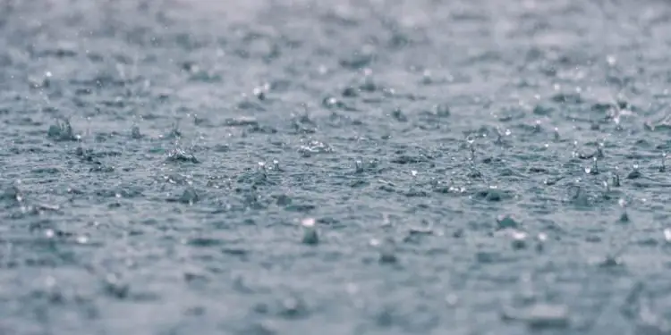 Março começa com chuvas acima de 80 mm no Norte e Nordeste sob atuação da ZCAS 1 Março começa com chuvas acima de 80 mm no Norte e Nordeste sob atuação da ZCAS