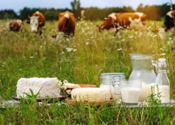 Mercado lacteo goiano registra alta de 613 em evereiro