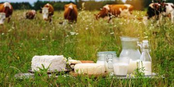 Mercado lácteo goiano registra alta de 6,13% em fevereiro