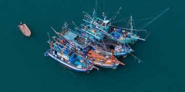 Ministério da Pesca abre consulta pública sobre técnico responsável em embarcações de pesca
