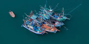 Ministério da Pesca abre consulta pública sobre técnico responsável em embarcações de pesca