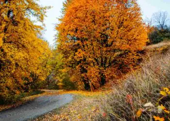 Outono de 2026 terá tempo mais seco e variações de temperatura pelo país, aponta Inmet