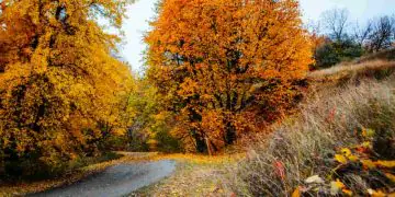 Outono de 2026 terá tempo mais seco e variações de temperatura pelo país, aponta Inmet