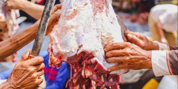 Pecuária brasileira bate recordes em 2025 com 42,9 milhões de bovinos abatidos