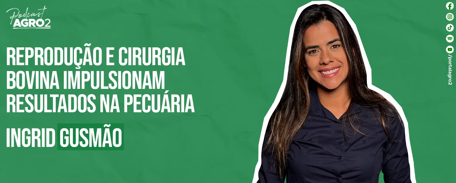 Podcast com Ingrid Gusmao