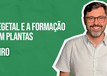 Podcast com Rene Carneiro 1
