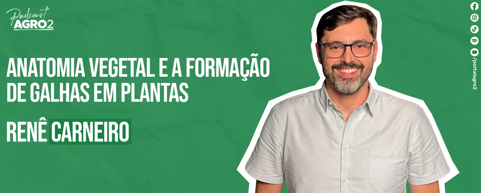 Podcast com Rene Carneiro 1