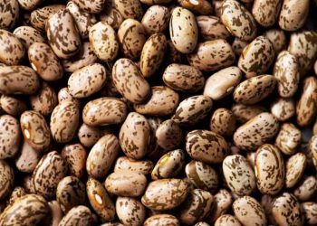 Preco do feijao carioca bate recorde historico em marco e segue em forte alta