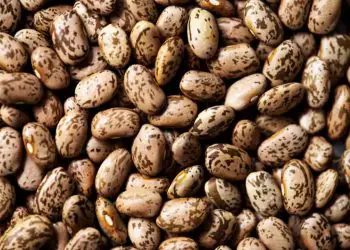 Preço do feijão carioca bate recorde histórico em março e segue em forte alta 9 Preço do feijão carioca bate recorde histórico em março e segue em forte alta