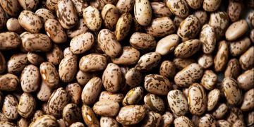 Preço do feijão carioca bate recorde histórico em março e segue em forte alta