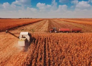 Produção brasileira de grãos pode chegar a 353,4 milhões de toneladas na safra 2025/26