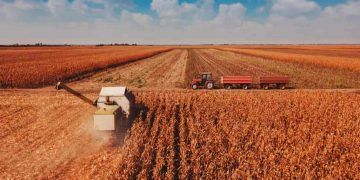 Produção brasileira de grãos pode chegar a 353,4 milhões de toneladas na safra 2025/26