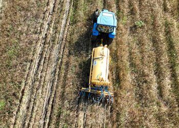 Rastreabilidade digital busca organizar uso de dejetos na suinocultura