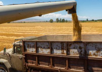 Safra recorde de soja pressiona logistica e eleva precos do transporte de graos