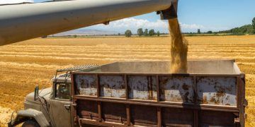 Safra recorde de soja pressiona logística e eleva preços do transporte de grãos