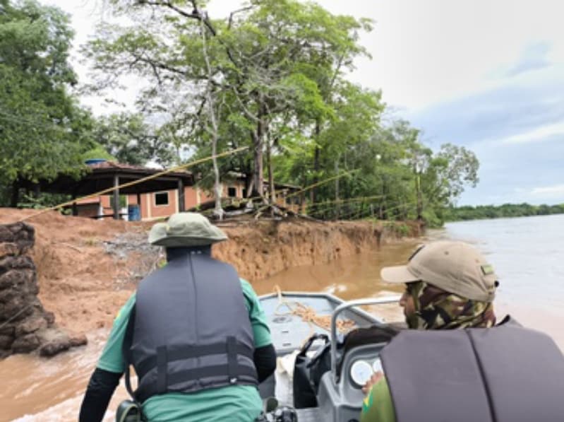 Apreensão de tartaruga