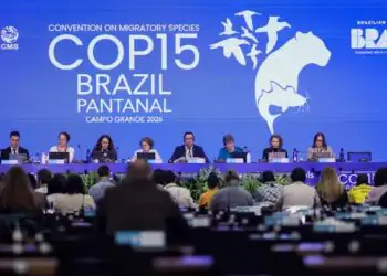 COP15 aprova medidas para preservar bagres migratórios e proteger ariranha