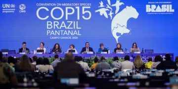 COP15 aprova medidas para preservar bagres migratórios e proteger ariranha