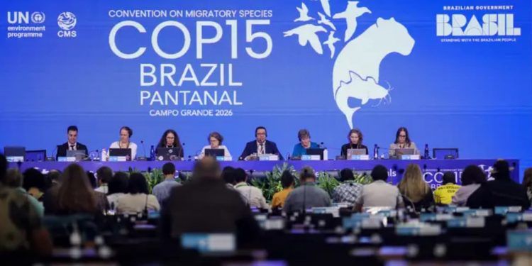 COP15 aprova medidas para preservar bagres migratórios e proteger ariranha 1 COP15 aprova medidas para preservar bagres migratórios e proteger ariranha