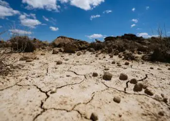 Quinze cidades do Nordeste entram em situação de emergência por causa da estiagem
