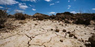 Quinze cidades do Nordeste entram em situação de emergência por causa da estiagem